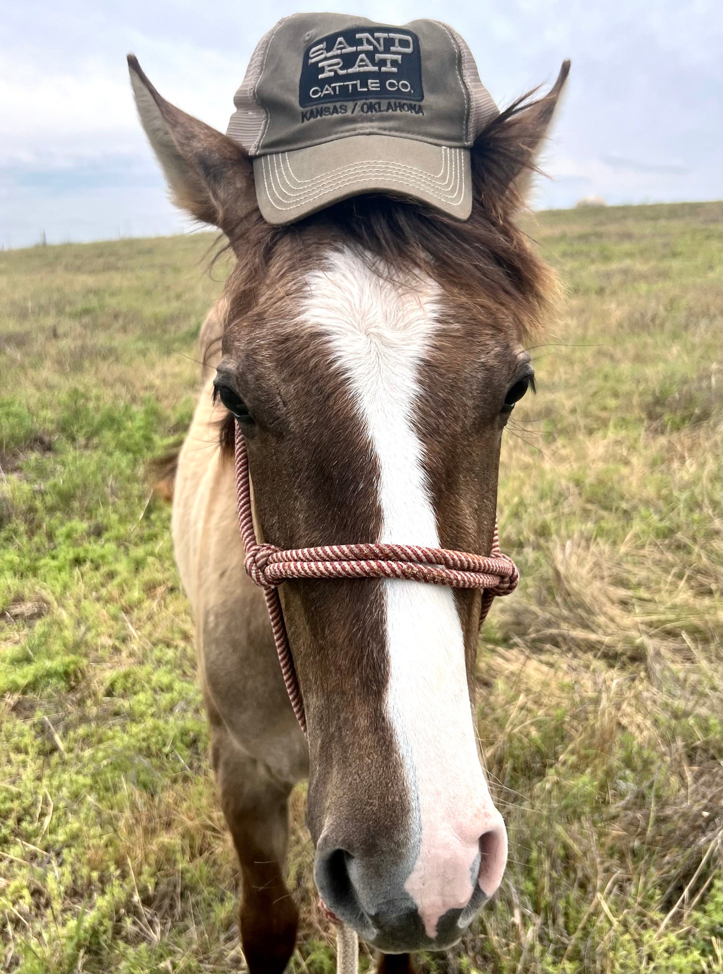 Hats